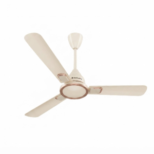 Erica Signature (  Seasand Ivory )
